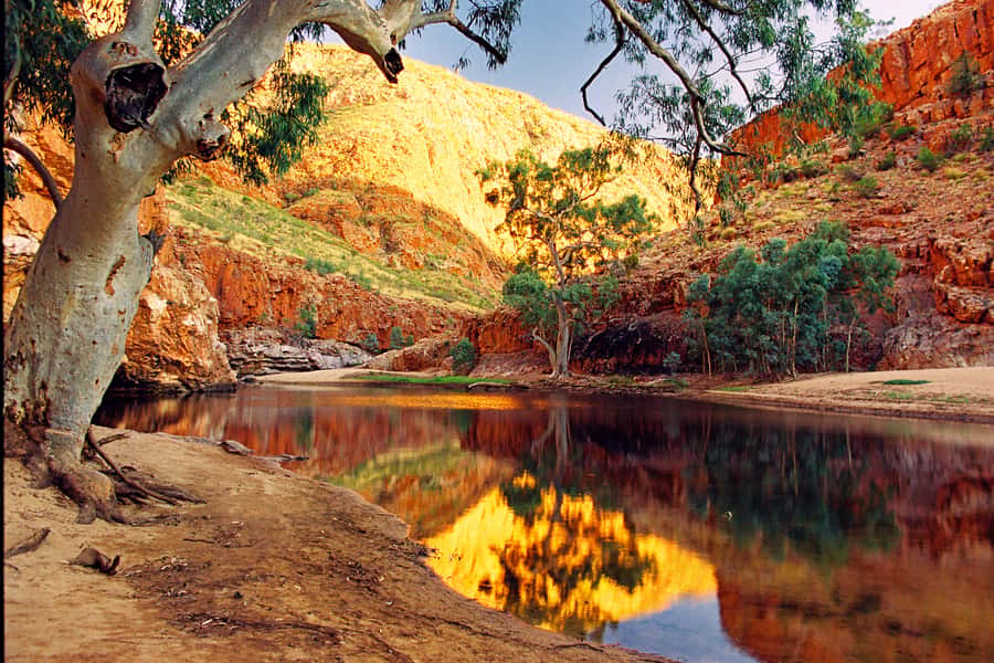 From Alice Springs: West MacDonnell Ranges Day Trip - Standley Chasm adds a one-hour walk
