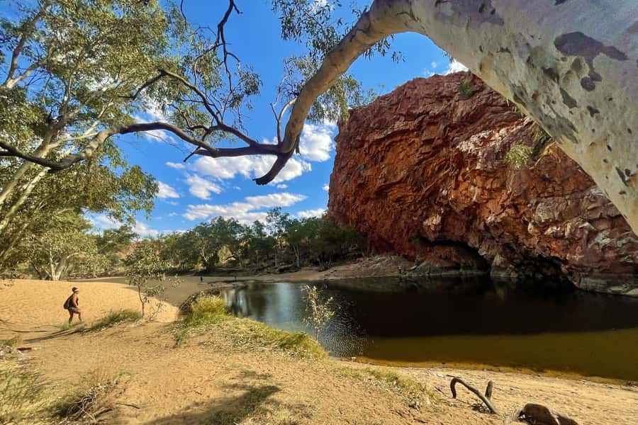 From Alice Springs/Yulara: 4-Day Red Centre 4WD Camping Tour - Day four: waterholes, gorges and red walls
