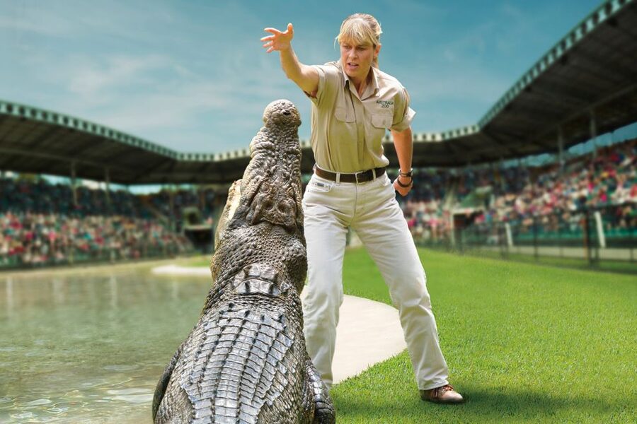From Brisbane: Australia Zoo Ticket and Roundtrip Transfer - Key points at a glance