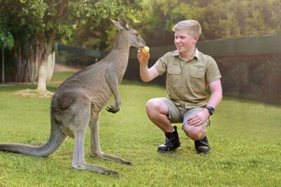 Australia Zoo Ticket and Roundtrip Transfer