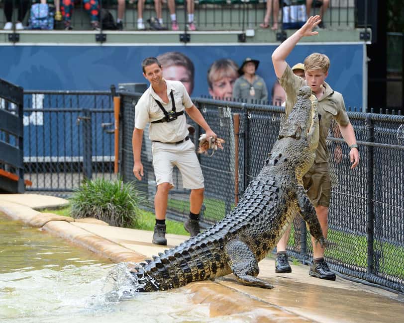 From Brisbane: Australia Zoo Ticket and Roundtrip Transfer - Giraffes, rhinos, and zebras in the African savannah area