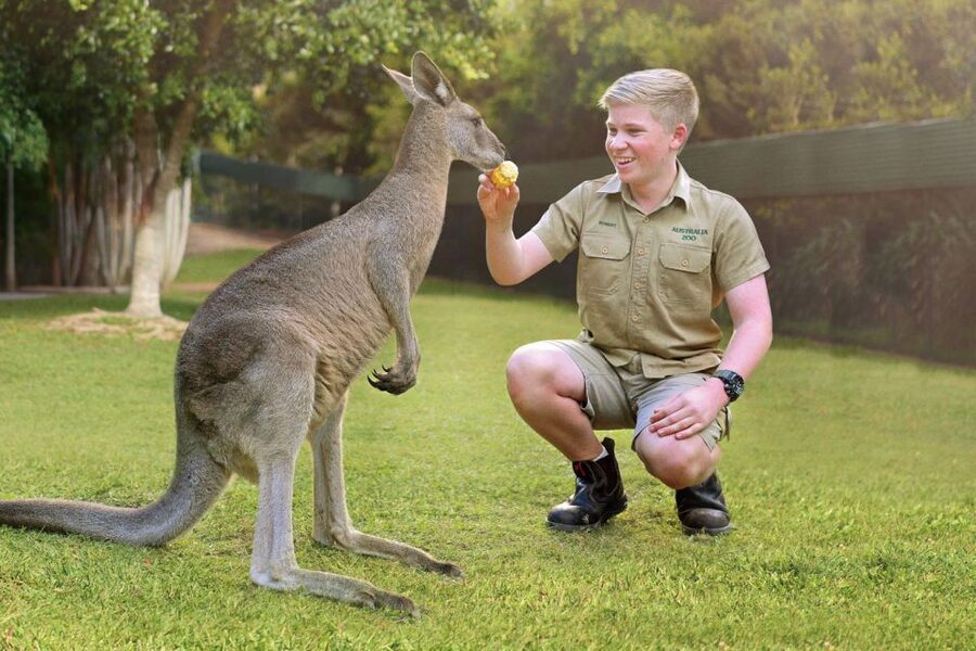 From Brisbane: Australia Zoo Ticket and Roundtrip Transfer - What the coach arrangement really saves you