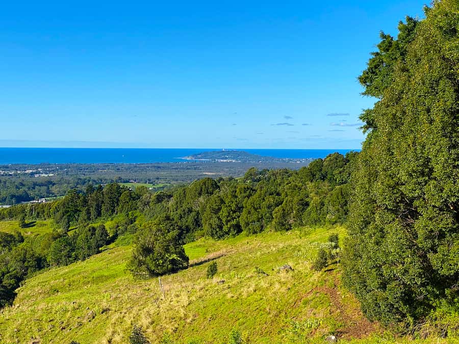 From Brisbane: Byron Bay, Bangalow, and Gold Coast Day Tour - Bangalow and the Byron Bay hinterland