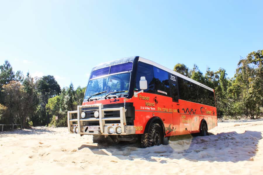 From Brisbane: Moreton Island Full-Day Trip - Lunch on the beach, with practical choices