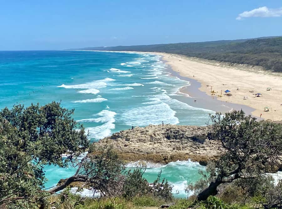 From Brisbane: North Stradbroke Island Wildlife Adventure - Key points to know before booking