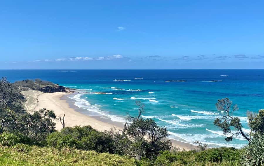 From Brisbane: North Stradbroke Island Wildlife Adventure - Why North Stradbroke Island makes a fine day trip from Brisbane