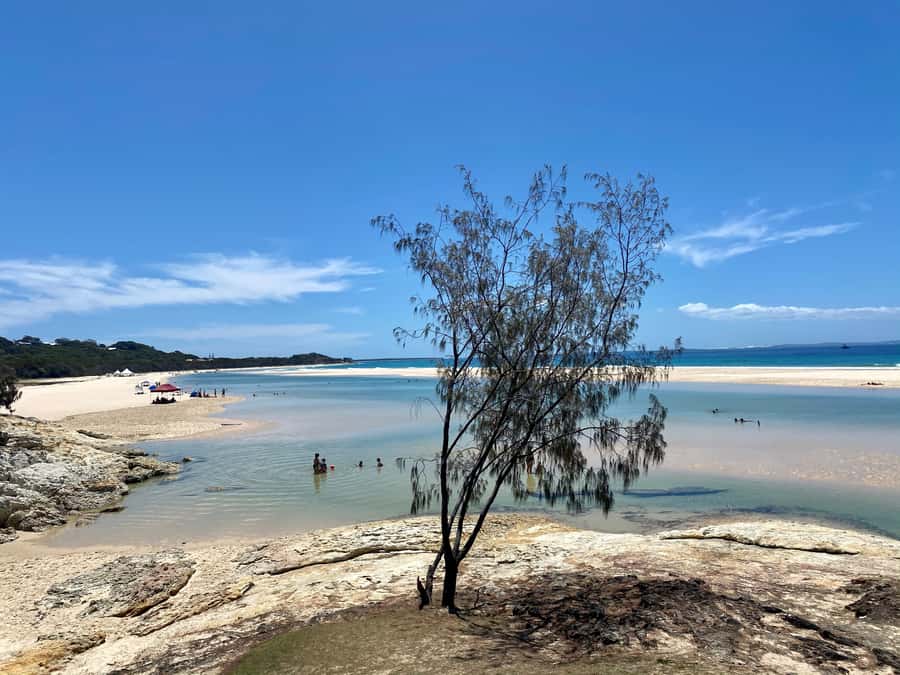 From Brisbane: North Stradbroke Island Wildlife Adventure - Brown Lake and the story of Quandamooka Country