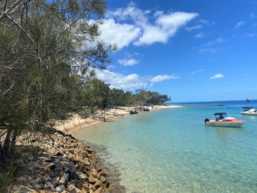 From Brisbane: North Stradbroke Island Wildlife Adventure - Point Lookout gives you time for lunch