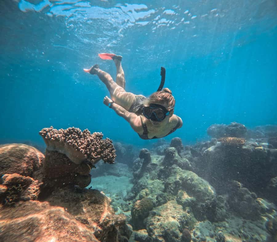 From Cairns: 2 Islands 1 day - Fitzroy & Green Islands - Leaving Cairns by catamaran