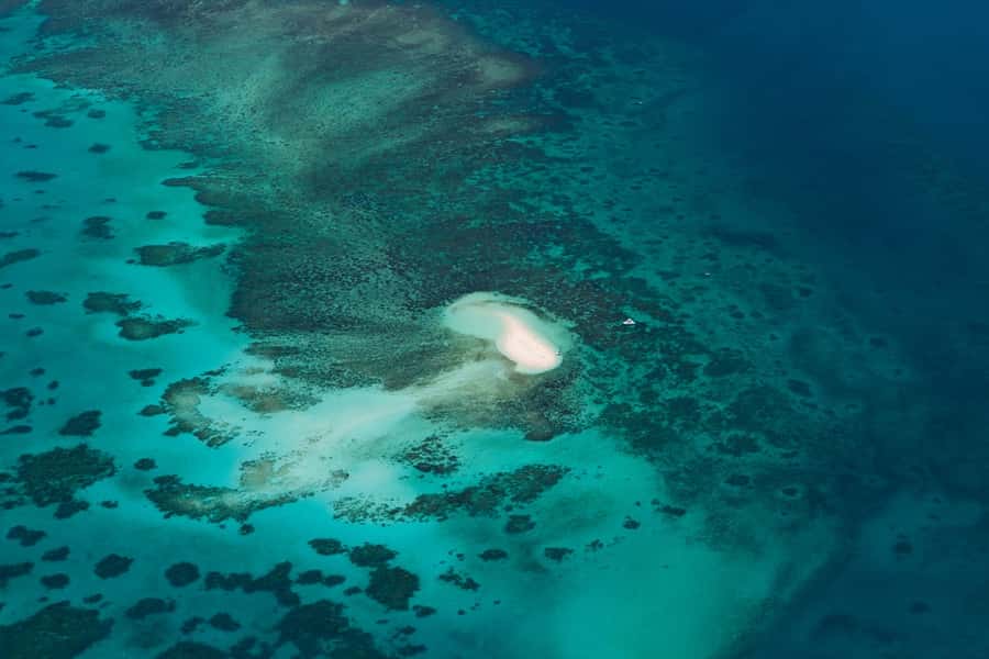 From Cairns: 40-Min Scenic Reef Window Seat Airplane Flight - Who should book this flight?