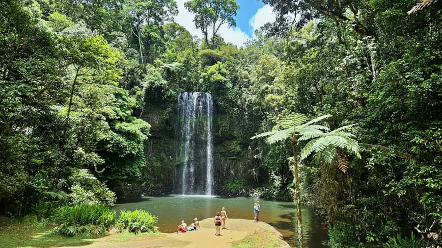 From Cairns: Atherton Tablelands and Paronella Park Day Trip - Why this Cairns day trip works