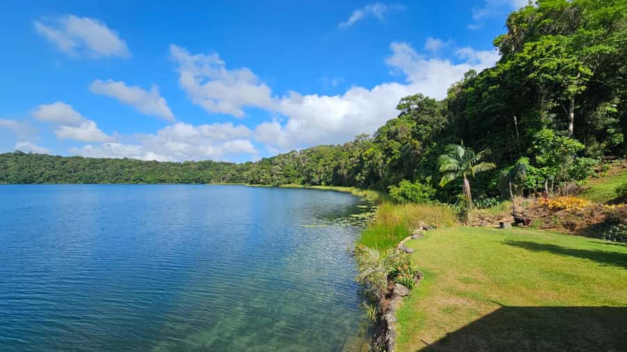 From Cairns: Atherton Tablelands and Paronella Park Day Trip - Malanda, Millaa Millaa and a cold-water swim