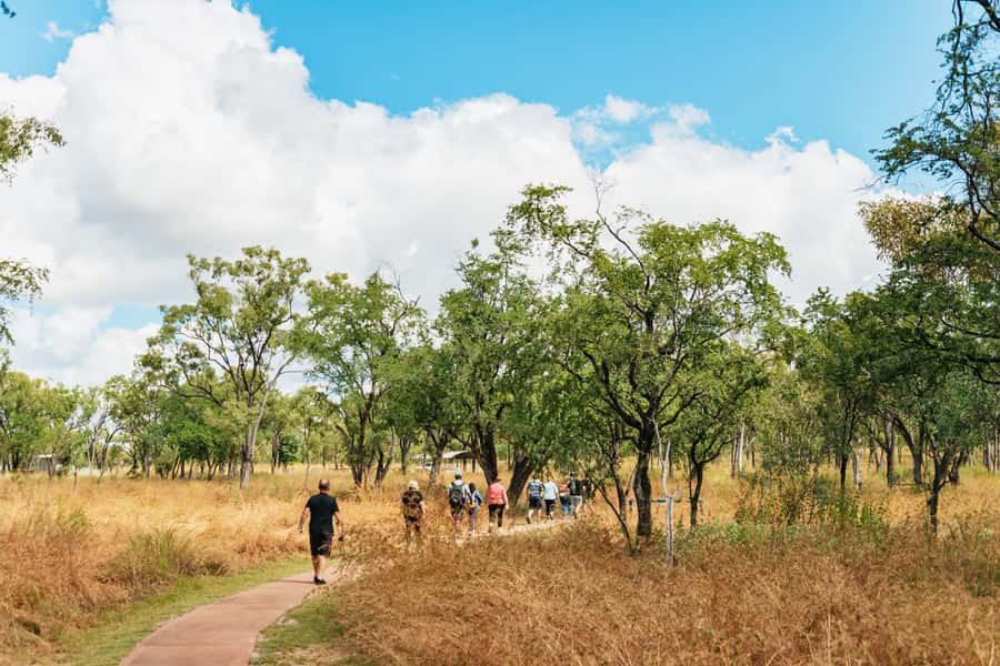From Cairns: Chillagoe Caves and Outback Full-Day Tour - Why Chillagoe makes a fine change from the coast