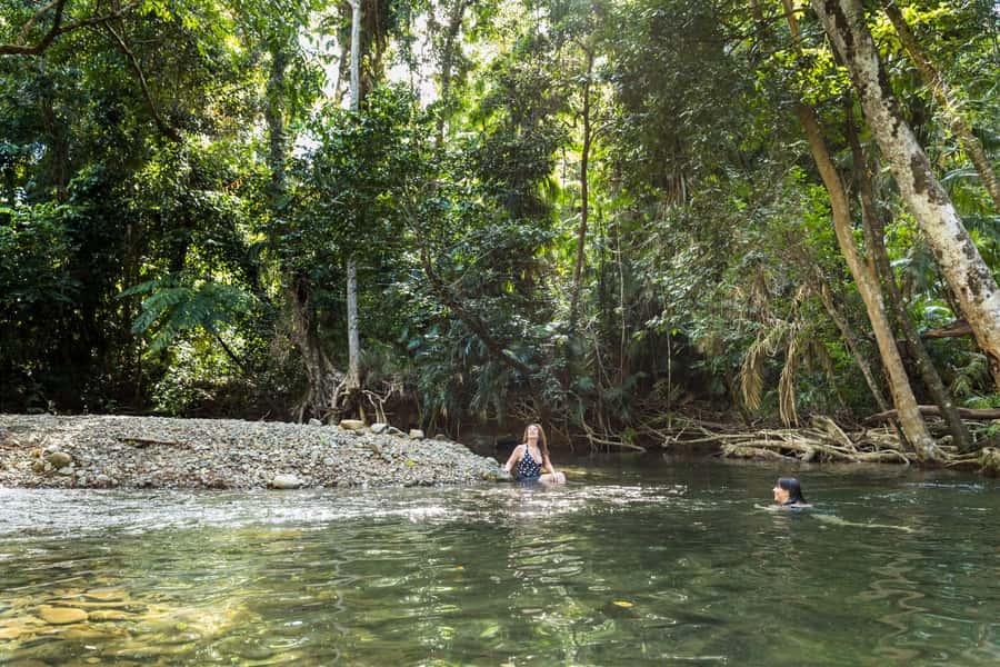 From Cairns: Daintree Rainforest & Cape Tribulation 4WD Tour - The guides are a major part of the value