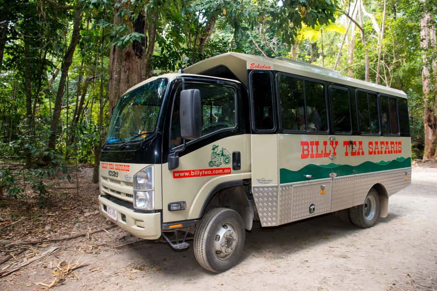 From Cairns: Daintree Rainforest & Cape Tribulation 4WD Tour - Why this Daintree tour works well as a day trip