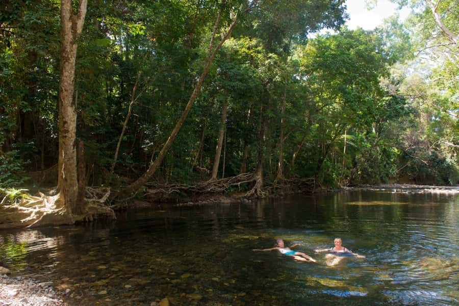 From Cairns: Daintree Rainforest & Cape Tribulation 4WD Tour - The ride home and the real length of the day