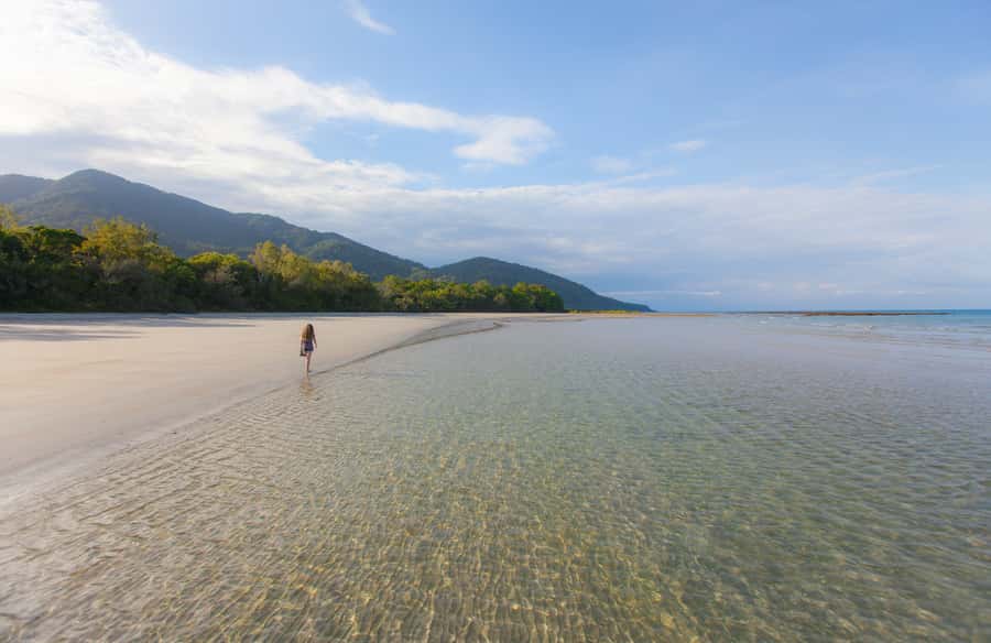 From Cairns: Daintree Wilderness & Cape Tribulation Bus Tour - Key points to know before booking