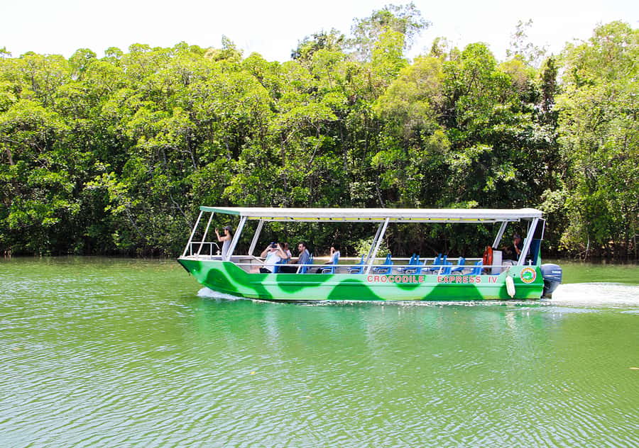 From Cairns: Daintree Wilderness & Cape Tribulation Bus Tour - What this Cairns day trip really covers