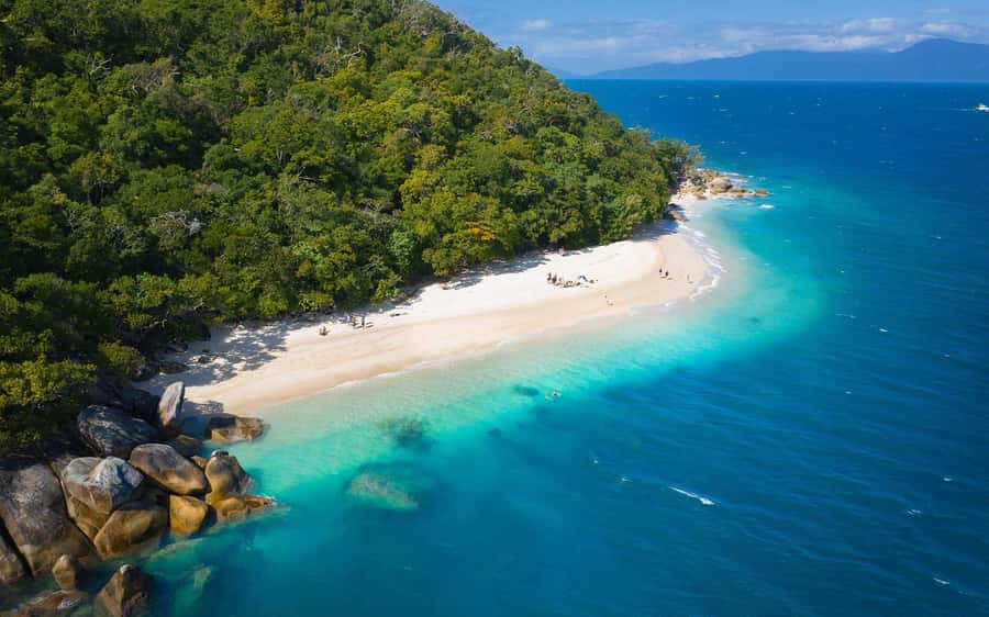 From Cairns: Fitzroy Island Day Trip by Ferry - Snorkeling in clear water