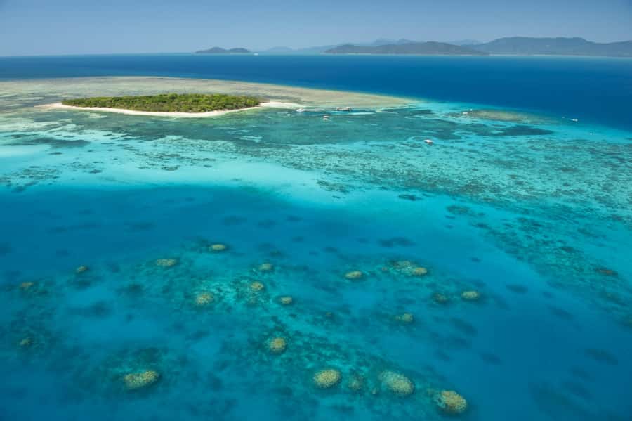 From Cairns: Full-Day Green Island Cruise - Green Island at a glance
