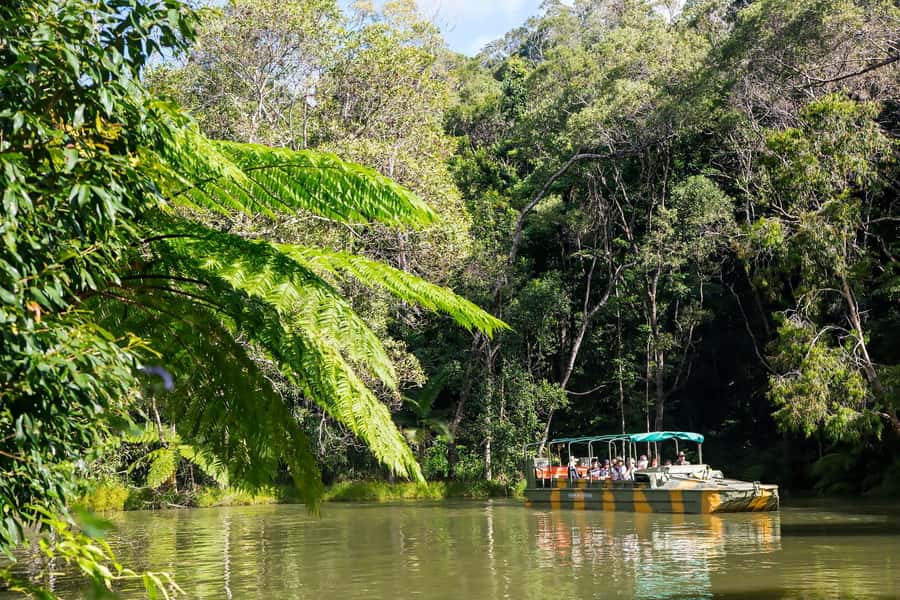 From Cairns: Full-Day Kuranda Army Duck Experience Tour - Three ways to see the Kuranda rainforest