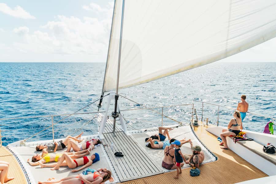 From Cairns: Great Barrier Reef Cruise by Premium Catamaran - Quick take: what makes this reef trip useful