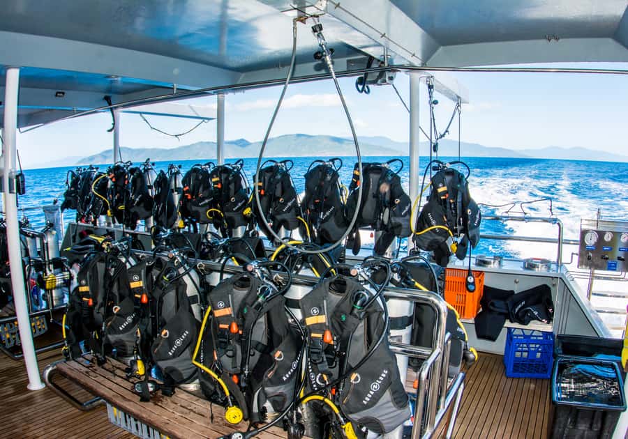 From Cairns: Great Barrier Reef Cruise by Premium Catamaran - Practical booking advice for Cairns