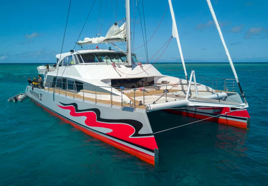 From Cairns: Great Barrier Reef Cruise by Premium Catamaran - Leaving Cairns on a high-performance catamaran