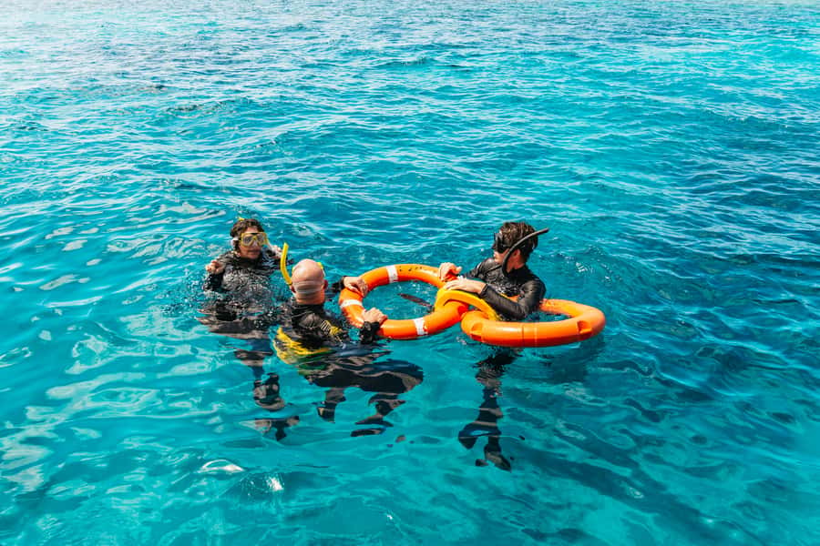 From Cairns: Great Barrier Reef Cruise by Premium Catamaran - Lunch with tropical fruit between sessions
