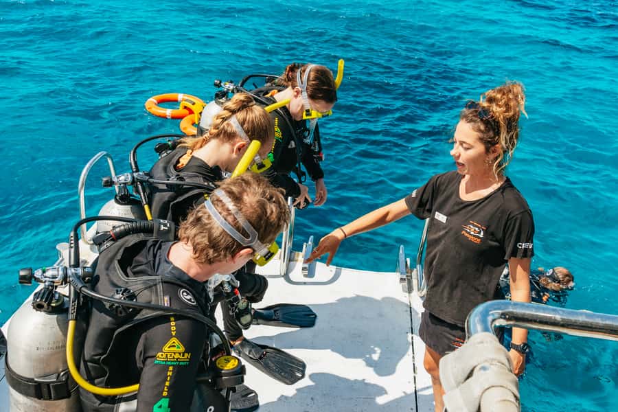 From Cairns: Great Barrier Reef Cruise by Premium Catamaran - Safety, instruction, and confidence in the water