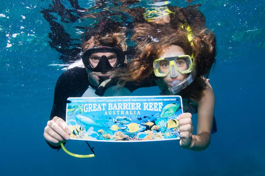 From Cairns: Great Barrier Reef Cruise by Premium Catamaran - What AU$190 buys you