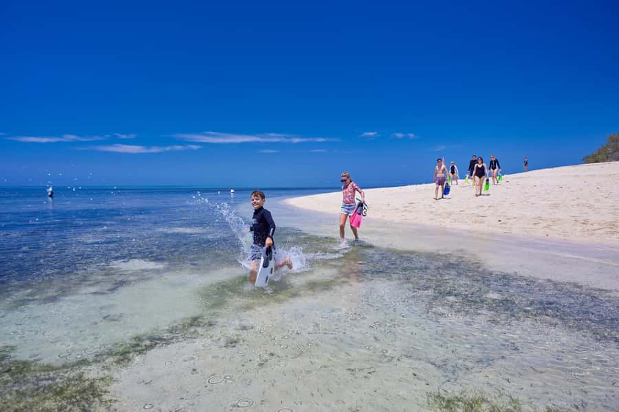 From Cairns: Green Island Full-Day Cruise - The semi-submersible tour offers the closest dry view