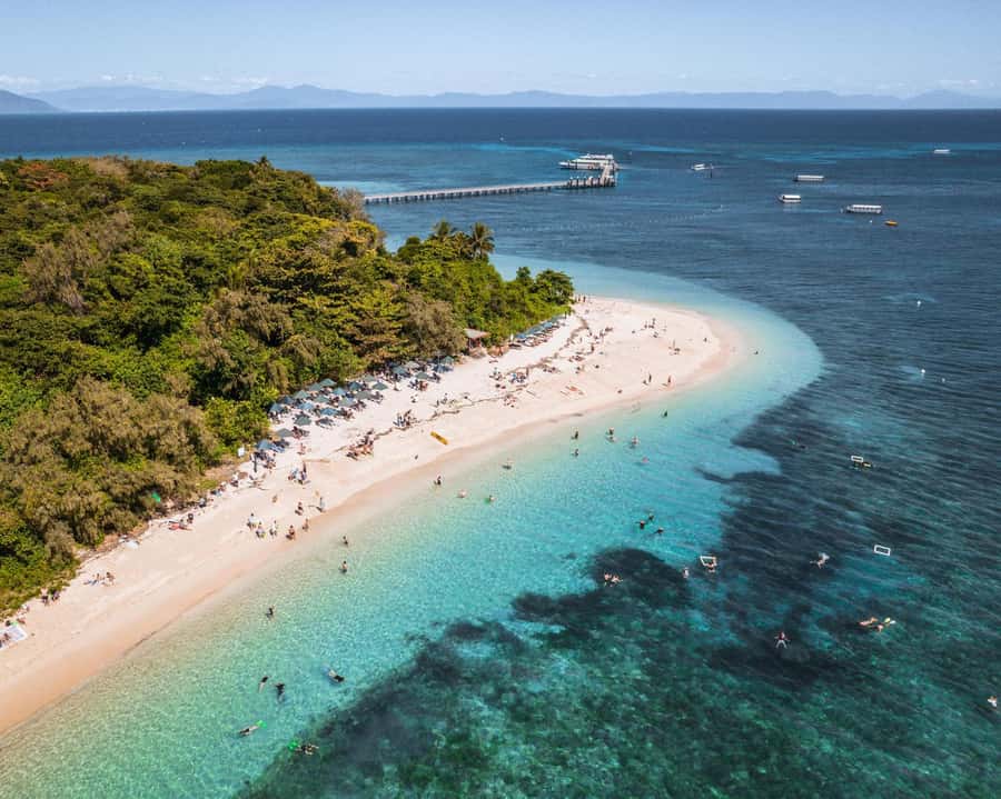 From Cairns: Green Island Full-Day Cruise - Green Island combines coral, beach, and rainforest