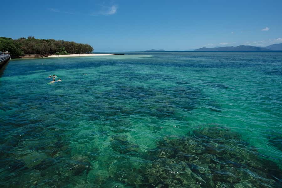 From Cairns: Green Island Half-Day Morning Cruise - Why Green Island works for a short Cairns morning