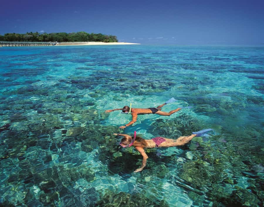 From Cairns: Green Island Half-Day Morning Cruise - Snorkeling from the beach