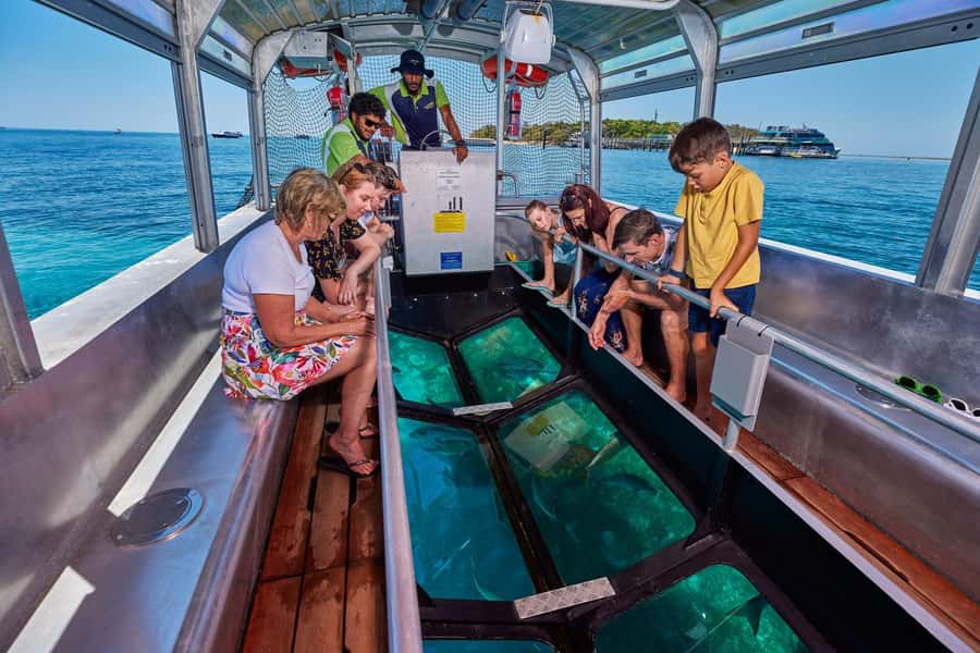 From Cairns: Green Island Half-Day Morning Cruise - Choosing the glass-bottom boat