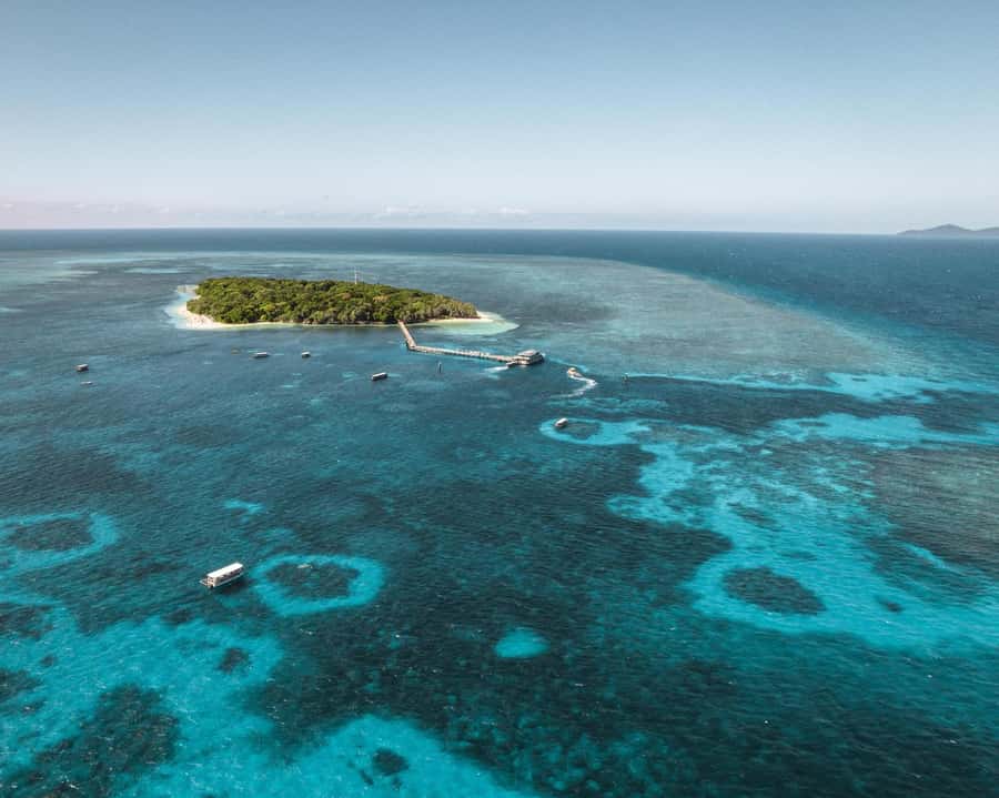 From Cairns: Half-Day Afternoon Cruise to Green Island - Choosing snorkeling or a glass-bottom boat