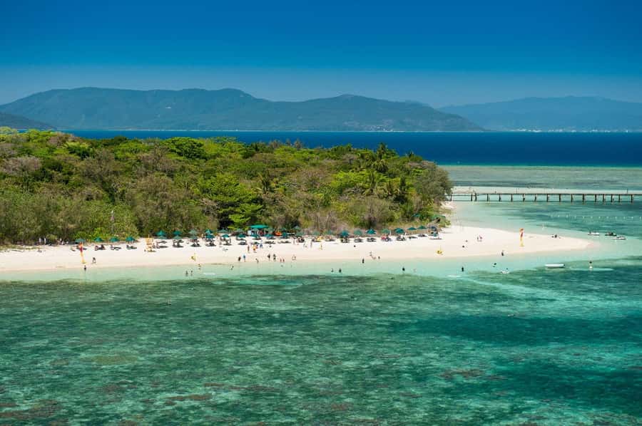 From Cairns: Half-Day Afternoon Cruise to Green Island - Who will enjoy this Green Island trip