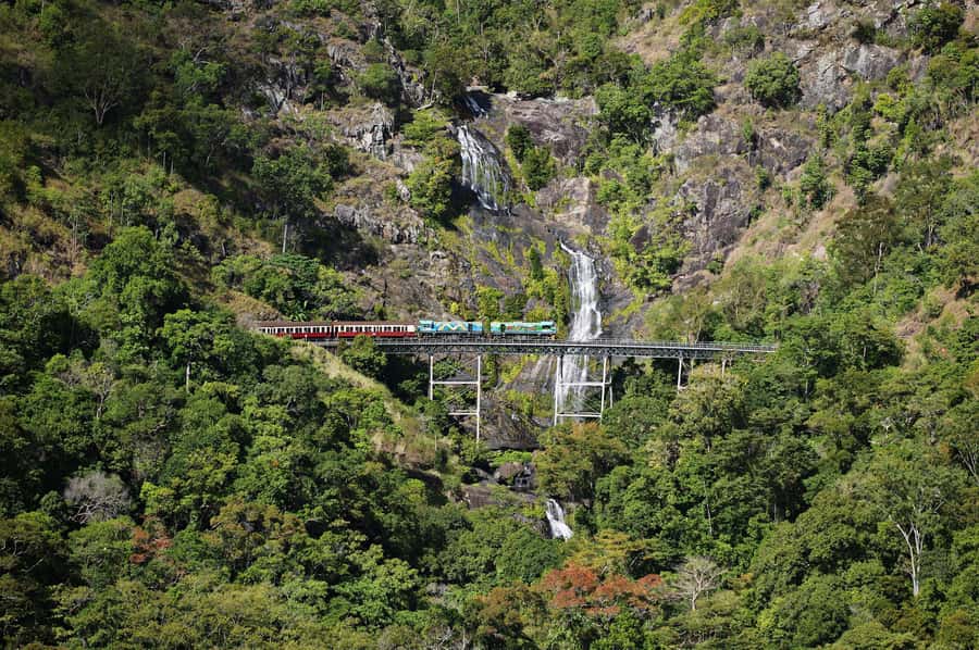 From Cairns: Kuranda Tour with Transfer - Boarding the Kuranda Scenic Railway at 8:50 AM