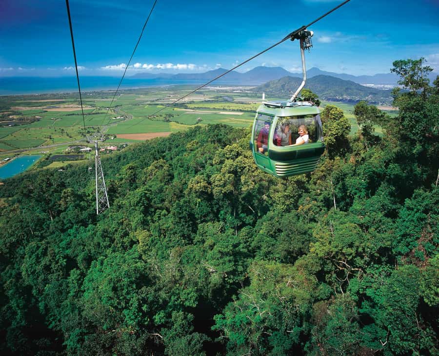 From Cairns: Kuranda Tour with Transfer - Who will get the most from this outing?
