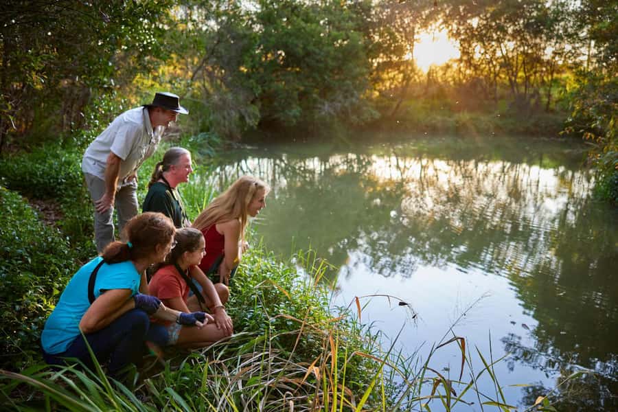 From Cairns: Rainforest & Nocturnal Wildlife Tour - Who should book this experience?