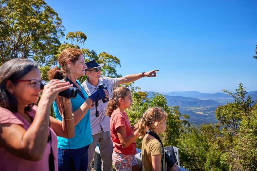 From Cairns: Rainforest & Nocturnal Wildlife Tour - Cathedral Fig Tree and Lake Barrine