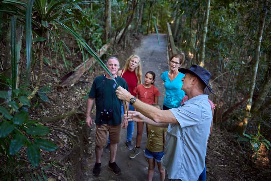 From Cairns: Rainforest & Nocturnal Wildlife Tour - Lake Eacham and the search for a platypus