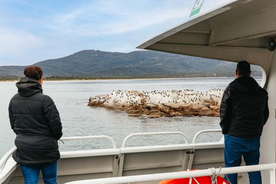 From Coles Bay: Wineglass Bay Cruise with Lunch - Who should book this cruise