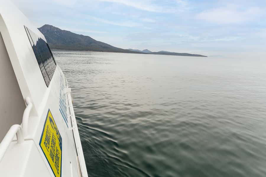 From Coles Bay: Wineglass Bay Cruise with Lunch - A practical lunch break on board