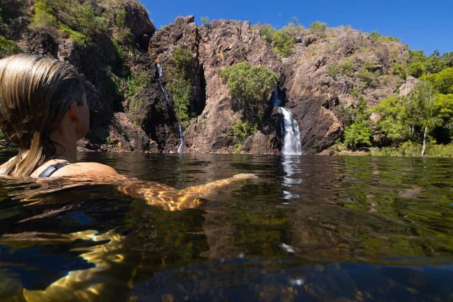 From Darwin: 1-Day Litchfield & Waterfalls Tour - Lunch, snacks, and the value of $105
