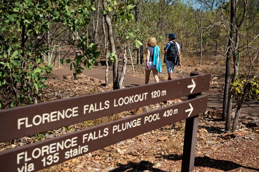 From Darwin: 1-Day Litchfield & Waterfalls Tour - The guide can make or break the day