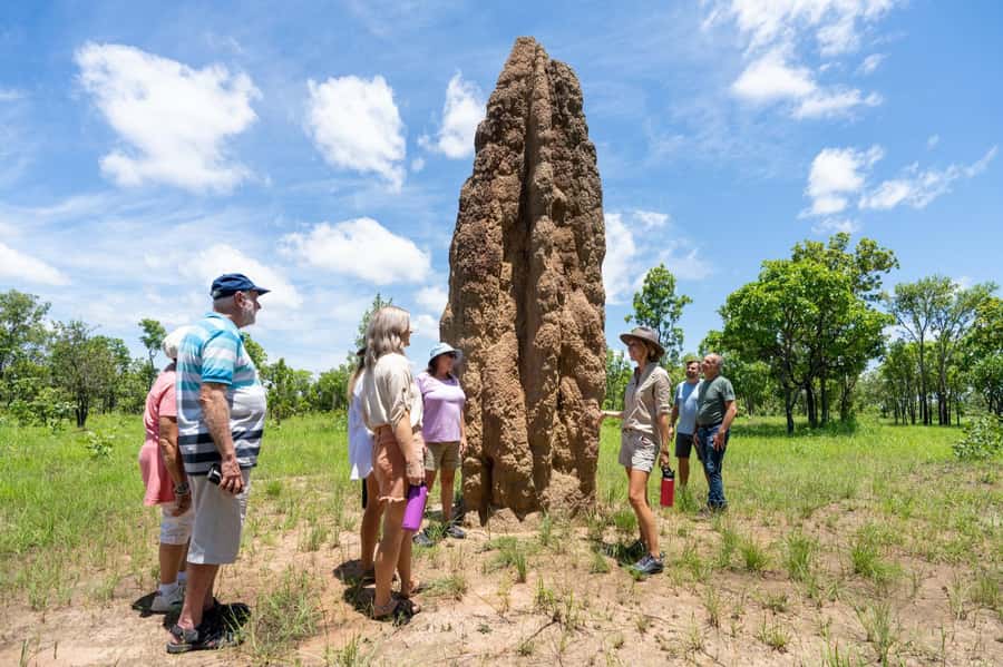 From Darwin: Litchfield National Park Day Trip - Why Litchfield works as a day from Darwin