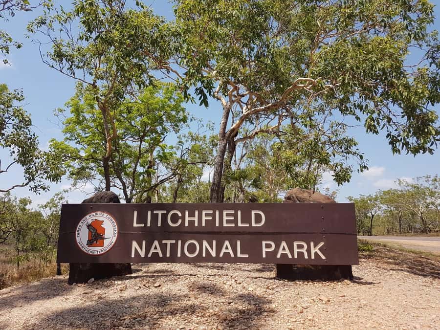 From Darwin: Litchfield National Park Day Trip - Leaving Darwin for the Top End bush