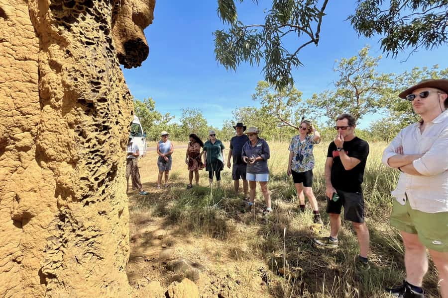 From Darwin: Litchfield National Park Day Trip - Heat, rain, and the right time to go